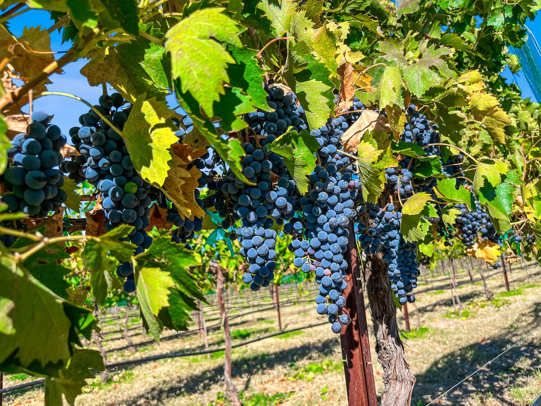 15875 Walnut Grove rd, Kirkland, AZ à vendre Photo de l’immeuble– Image 1 sur 1