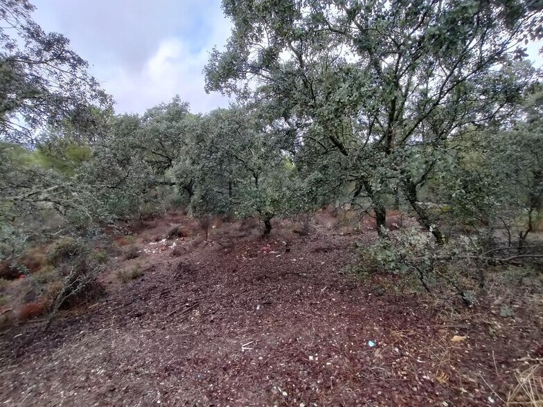 Terrain dans Córdoba, Córdoba à vendre - Photo de l’immeuble – Image 3 sur 6