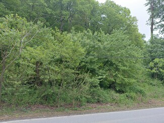 Plus de détails pour 115 Pennell Road, Media, PA - Terrain à vendre