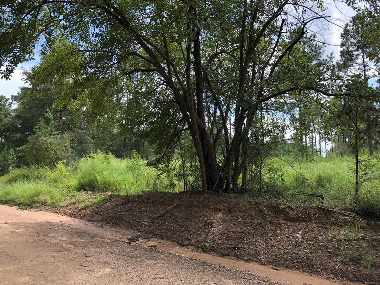 395 Nettles rd, Livingston, TX à vendre - Photo de l’immeuble – Image 3 sur 7