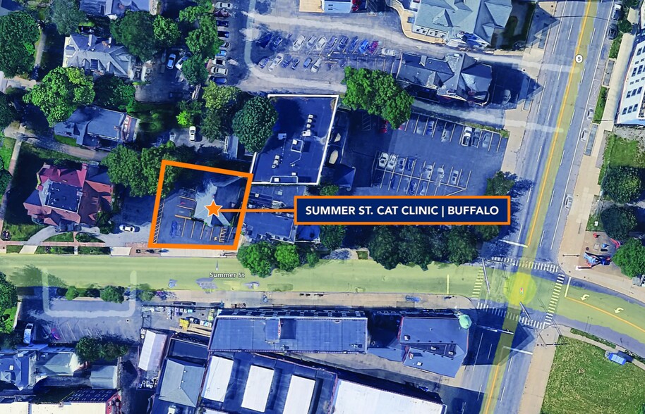 The Summer Street Cat Clinic Portfolio portefeuille de 2 biens à vendre sur LoopNet.fr - Photo de l’immeuble – Image 3 sur 8