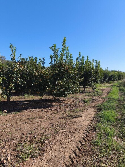 Terrain dans València, Valencia à vendre - Photo principale – Image 1 sur 6