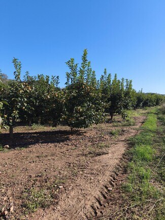 Plus de détails pour Plaça Bandes de Música de la Comunitat Valenciana, 5, València - Terrain à vendre
