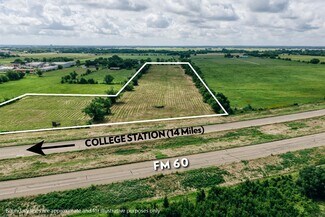 Plus de détails pour TBD FM 60, Snook, TX - Terrain à vendre