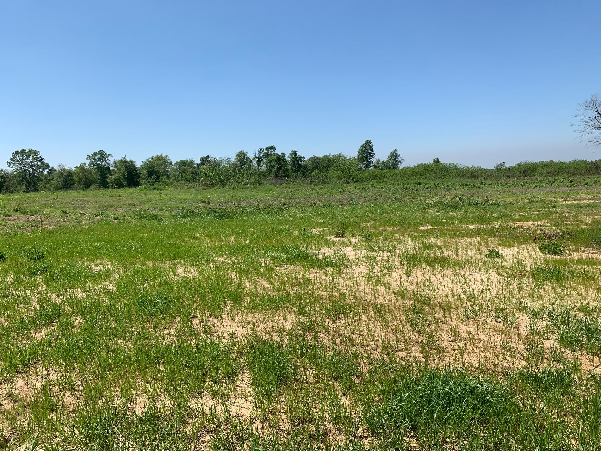 000E-2A Highway 61, Natchez, MS à vendre Photo de l’immeuble– Image 1 sur 5