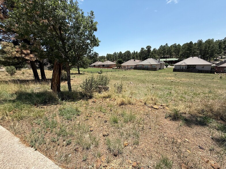 431 White Mountain Meadows Dr, Ruidoso, NM à vendre - Photo de l’immeuble – Image 3 sur 76