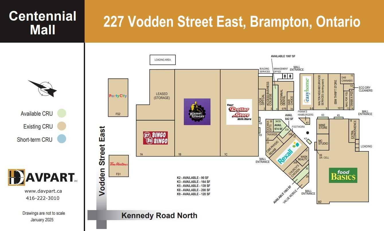 225-227 Vodden St, Brampton, ON à louer Plan de site– Image 1 sur 1