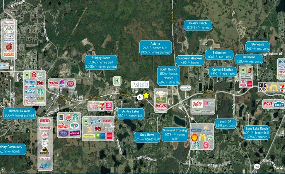 14737 State Road 54, Odessa, FL à louer - Photo de l’immeuble – Image 3 sur 3