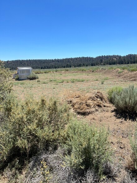 Mount Lilac Trail, Frazier Park, CA à vendre - Photo de l’immeuble – Image 2 sur 6