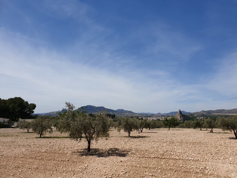 Terrain dans Sax, Alicante à vendre - Aérien – Image 1 sur 5