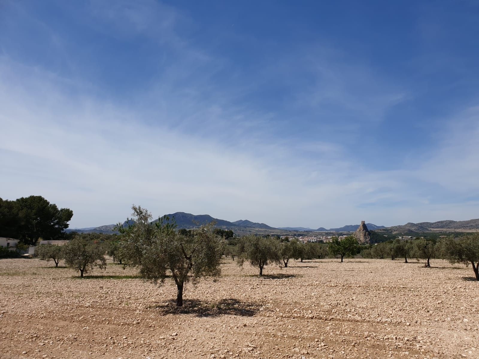 Terrain dans Sax, Alicante à vendre Aérien– Image 1 sur 6