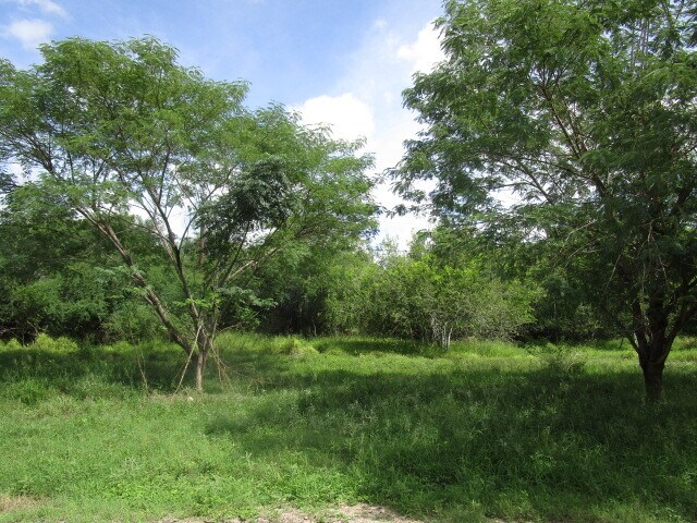 25094 Chester Park Rd, Harlingen, TX à vendre - Photo de l’immeuble – Image 3 sur 6