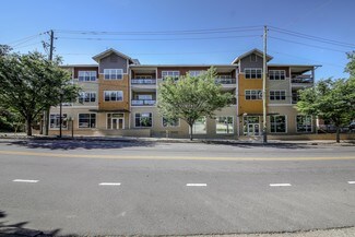 Plus de détails pour 125-161 S Lexington Ave, Asheville, NC - Logement à vendre