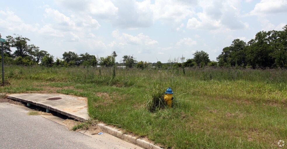 5536 Sermon Rd, Theodore, AL à vendre - Photo principale – Image 1 sur 5