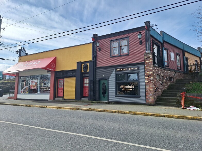 291 Wallace St, Nanaimo, BC à vendre - Photo principale – Image 1 sur 12