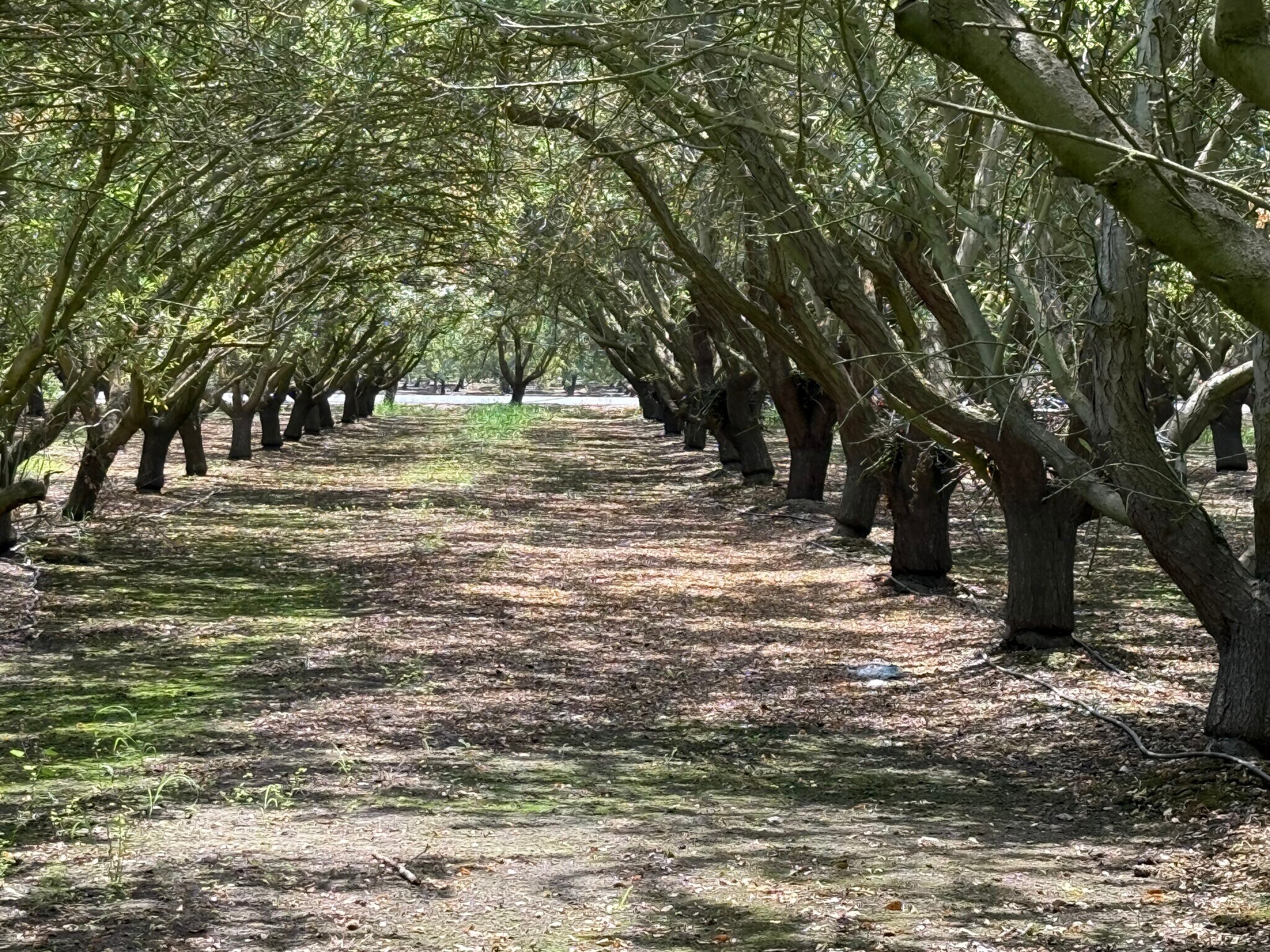 Yosemite Boulevard, Modesto, CA à vendre Autre– Image 1 sur 4