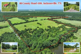 Plus de détails pour 00 County Road 4501, Jacksonville, TX - Terrain à vendre