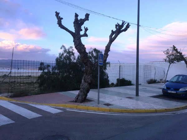 Avenida Europa, 281, La Mojonera, Almería à vendre - Photo de l’immeuble – Image 2 sur 2