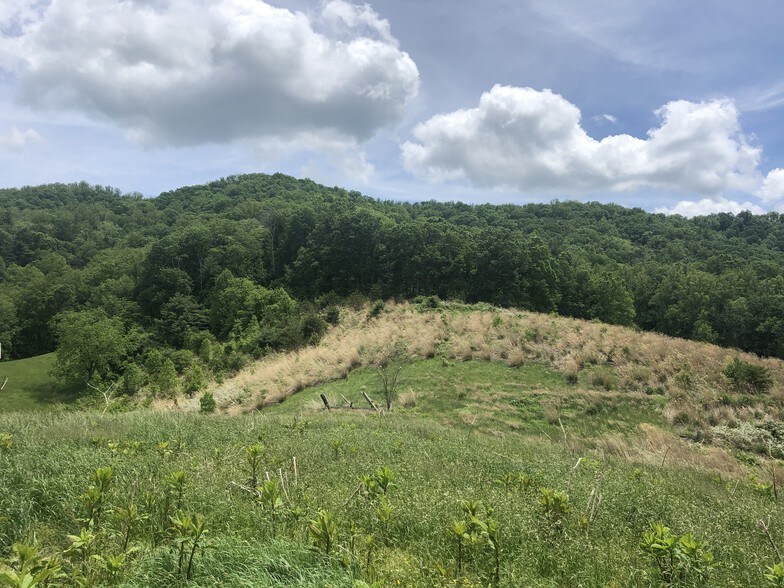 87 Barnardsville Hwy, Weaverville, NC à vendre - Autre – Image 3 sur 10