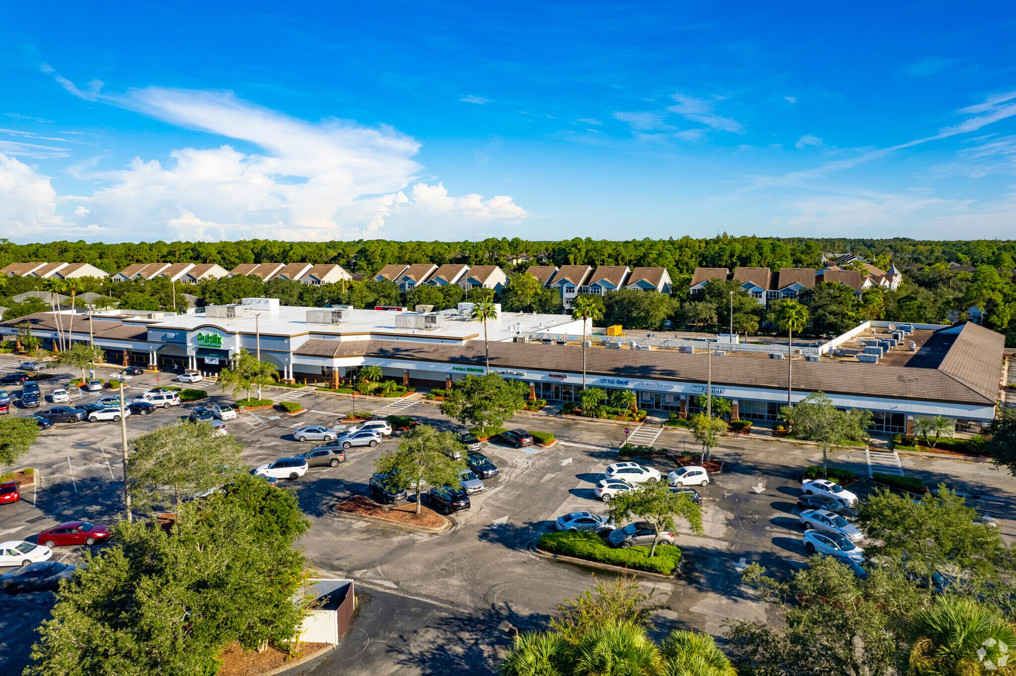12125 W Linebaugh Ave, Tampa, FL à louer Photo de l’immeuble– Image 1 sur 6