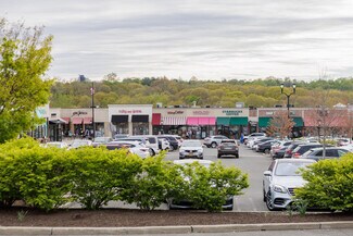 Plus de détails pour 126 S Ridge St, Rye Brook, NY - Différents types d’espaces à louer