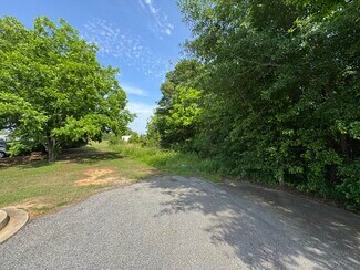 Plus de détails pour 0 Woodson St, Greenville, SC - Terrain à vendre