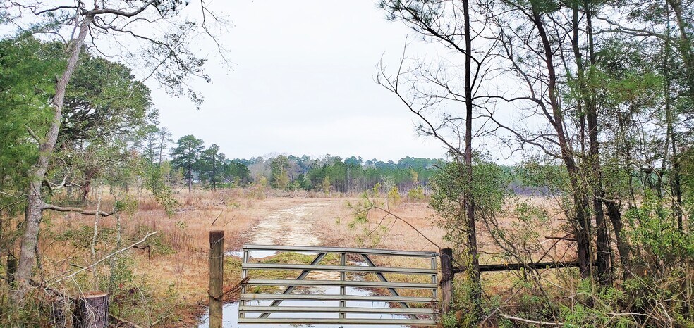 Highway 3226, Deridder, LA à vendre - Photo principale – Image 1 sur 5