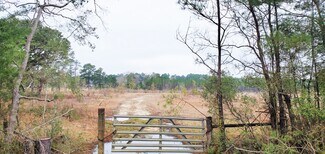 Plus de détails pour Highway 3226, Deridder, LA - Terrain à vendre