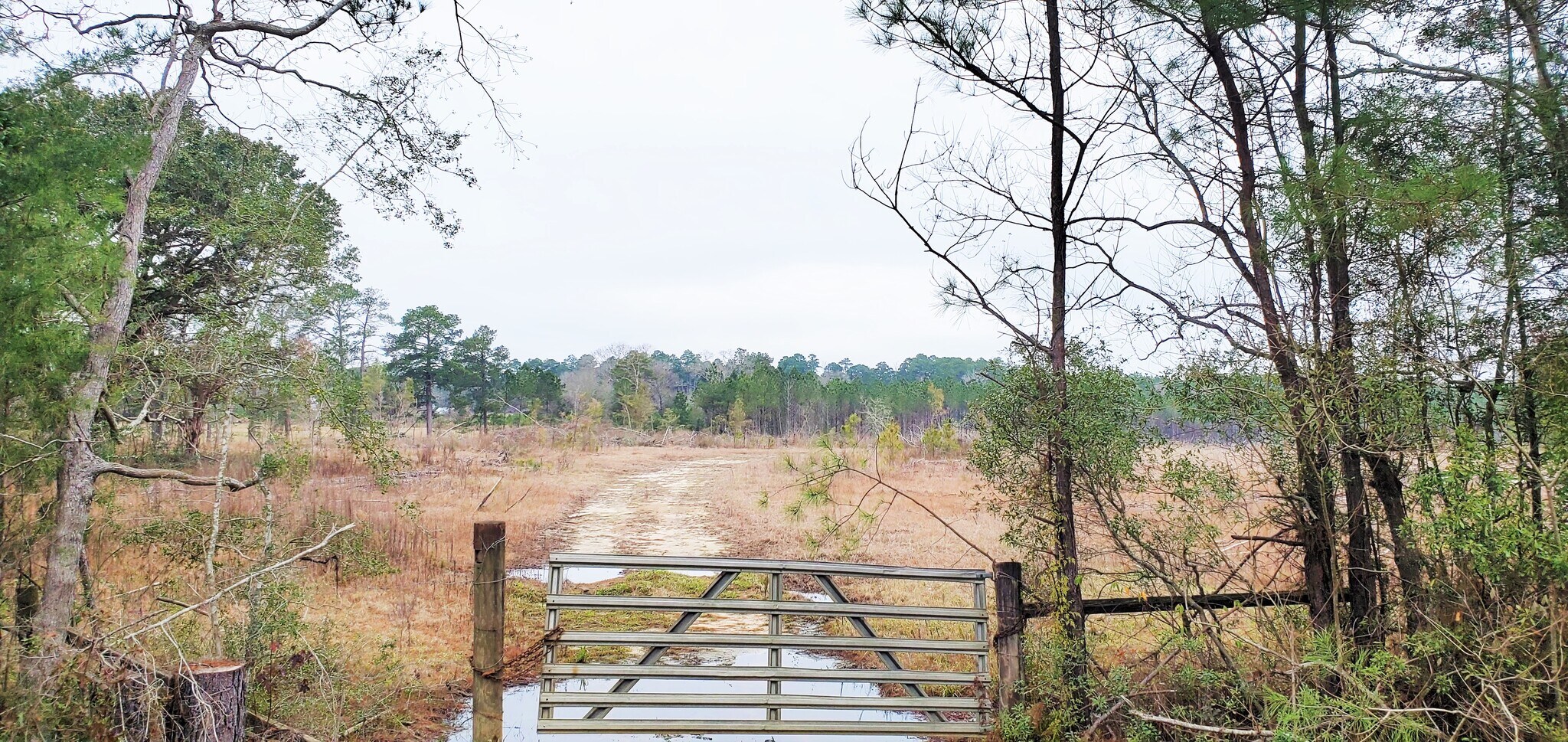 Highway 3226, Deridder, LA à vendre Photo principale– Image 1 sur 6