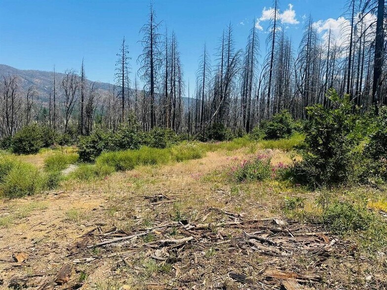 172 Standart Mine Road Rd, Greenville, CA à vendre - Photo principale – Image 1 sur 2