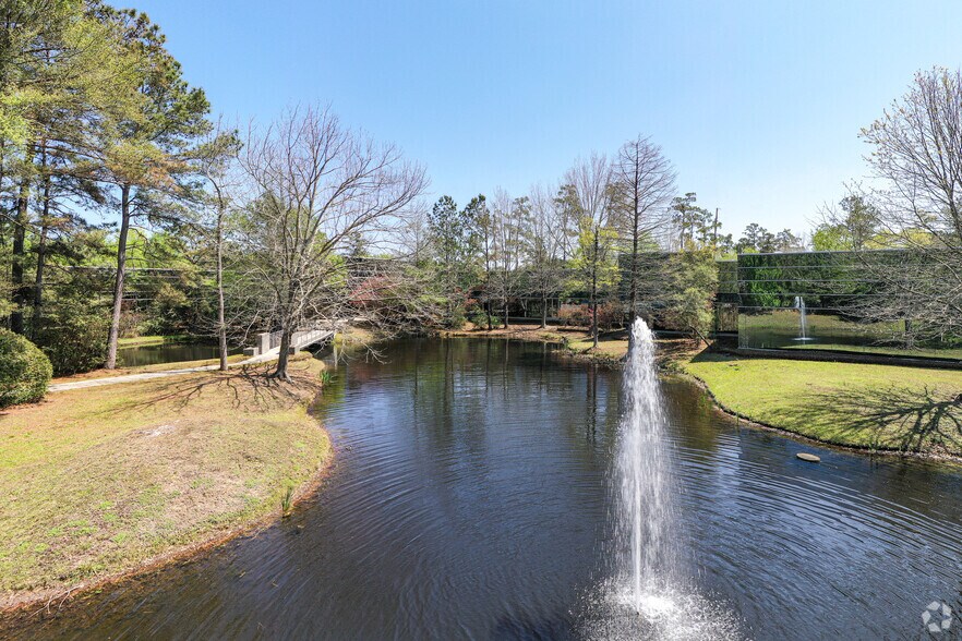 8708 Technology Forest Pl, The Woodlands, TX à louer - Photo de l’immeuble – Image 3 sur 7