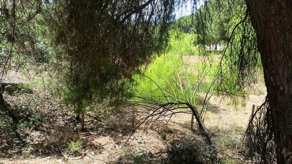 Camino Campamento, Córdoba, Córdoba à vendre - Photo principale – Image 3 sur 31