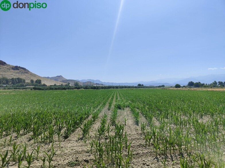 Carretera de Pinos Puente, Atarfe, Granada à vendre - Photo de l’immeuble – Image 3 sur 9