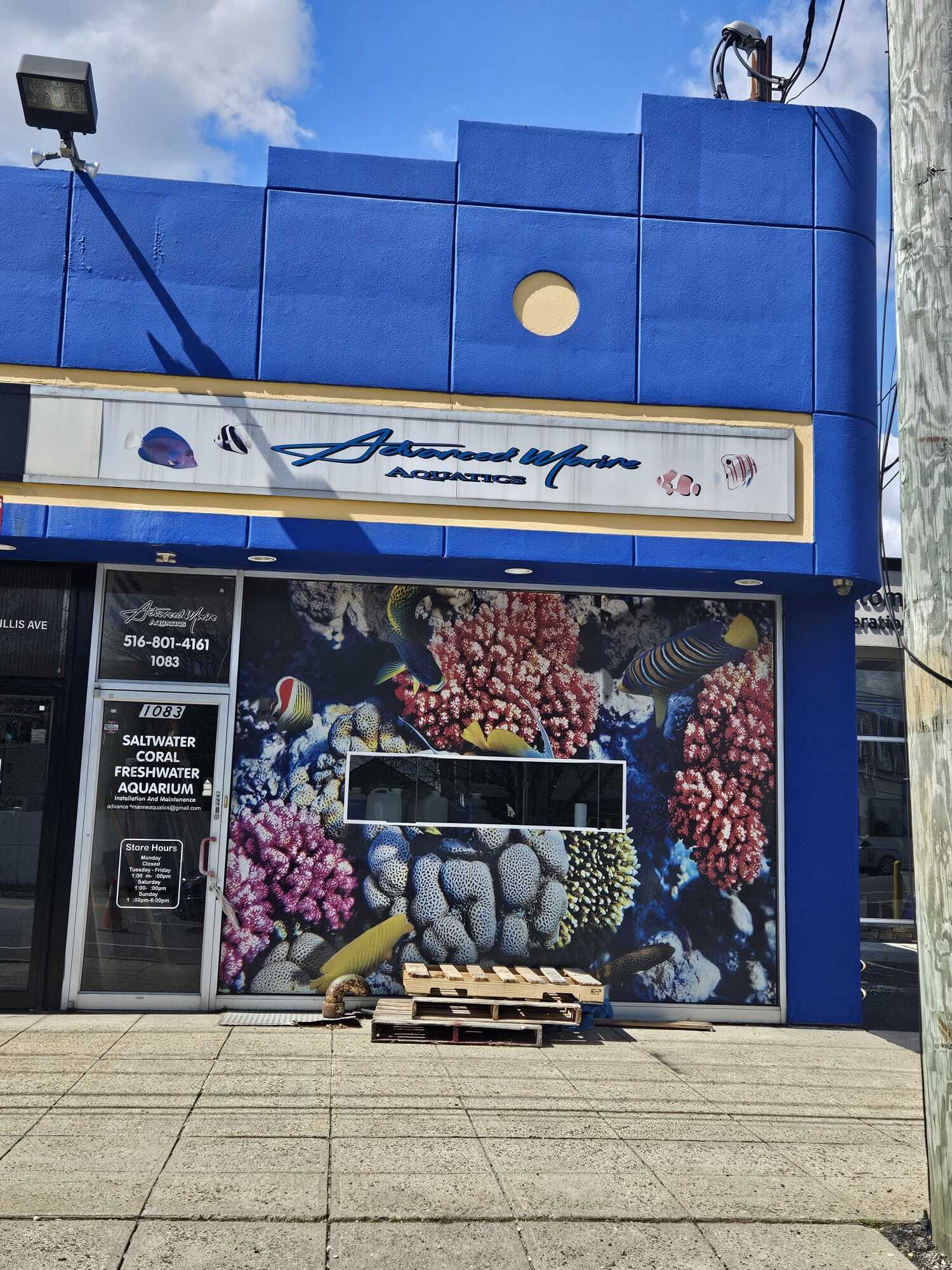 1079-1083 Willis Ave, Albertson, NY à louer Photo principale– Image 1 sur 22