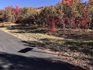 Plus de détails pour 121 N Oakwood Cir, Springville, UT - Terrain à vendre