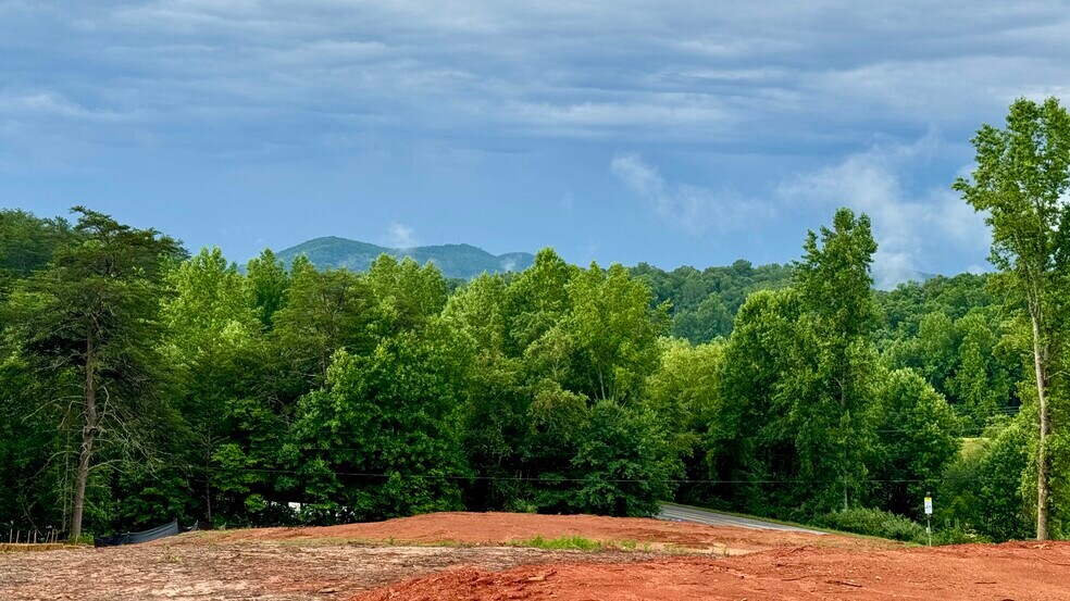 25 Caudell Dr, Cleveland, GA à vendre - Photo de l’immeuble – Image 3 sur 9
