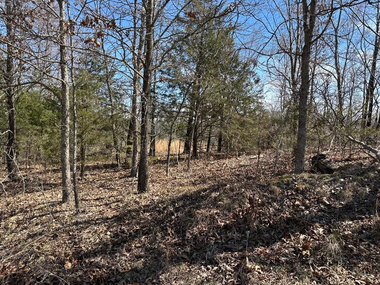 Lot 2 Deer Meadows Lane, Yellville, AR à vendre - Autre – Image 3 sur 3