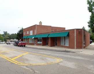 Plus de détails pour 220-230 Hicks Pl, Palatine, IL - Local commercial à vendre