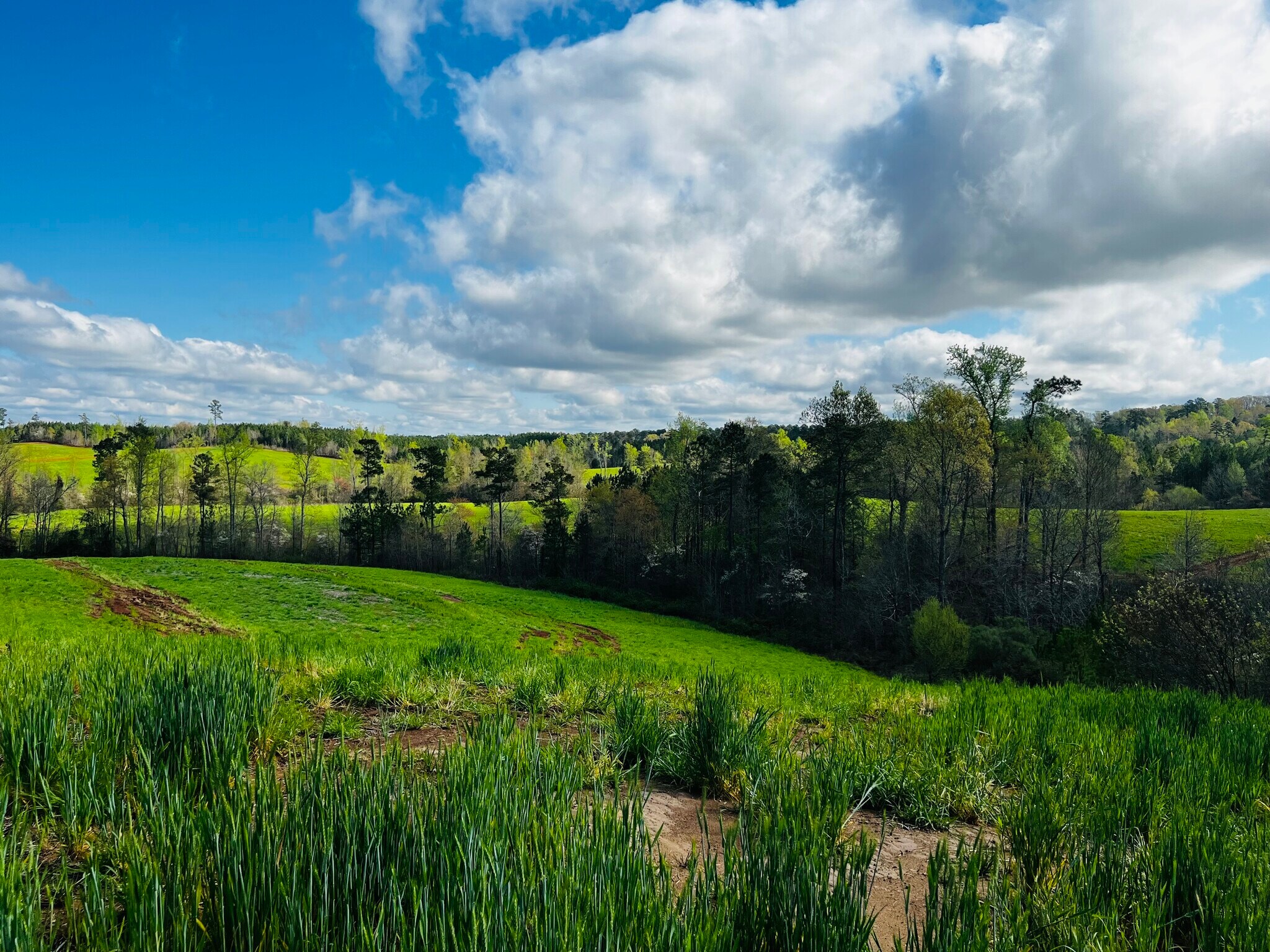 Anson High School, Wadesboro, NC à vendre Photo principale– Image 1 sur 6