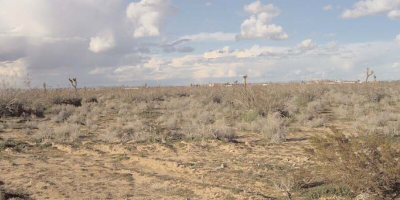 Hwy 395, Adelanto, CA à vendre - Photo principale – Image 1 sur 4