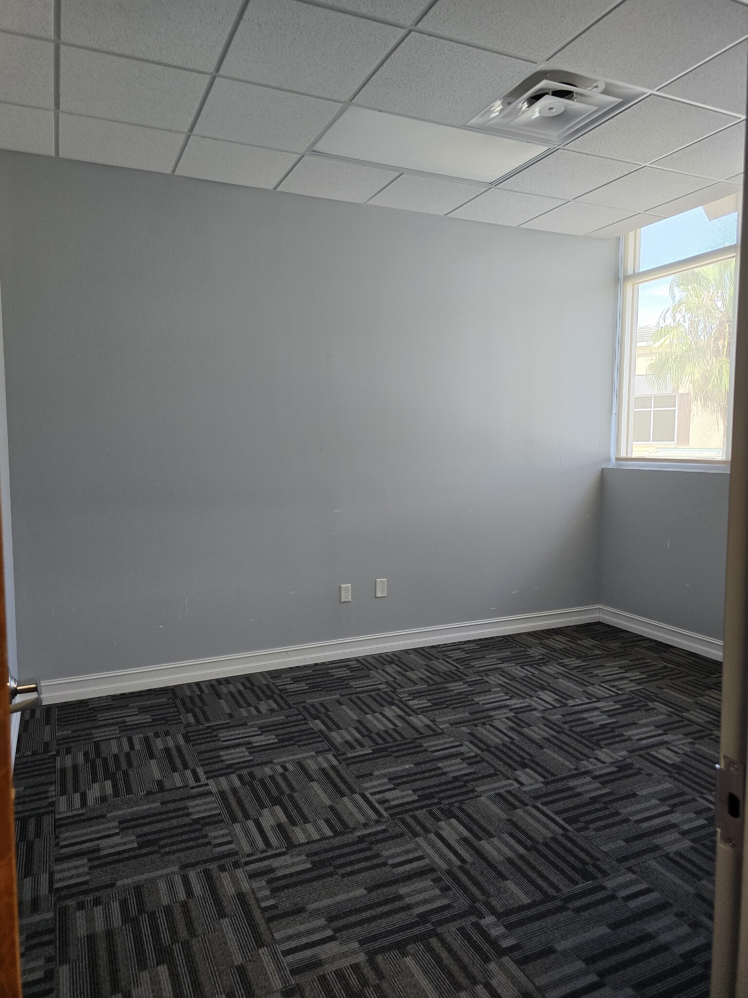 3687 Tampa Rd, Oldsmar, FL à louer Photo intérieure– Image 1 sur 18