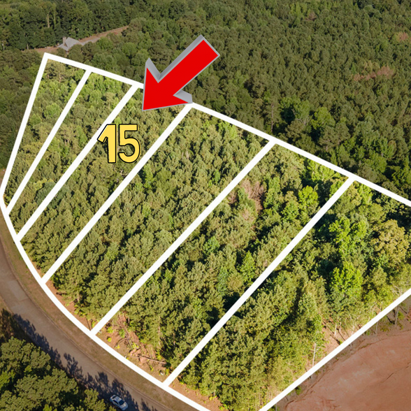 1028 Queens Bridge Way, Griffin, GA à vendre - Aérien – Image 1 sur 11