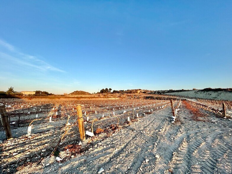 Terrain dans Novelda, Alicante à vendre - Aérien – Image 3 sur 7