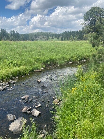 25287 Lower French Creek Rd, Custer, SD à vendre - Photo de l’immeuble – Image 2 sur 19