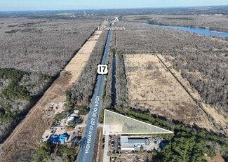 Plus de détails pour 267 Mulberry Commercial Pkwy, Richmond Hill, GA - Terrain à vendre