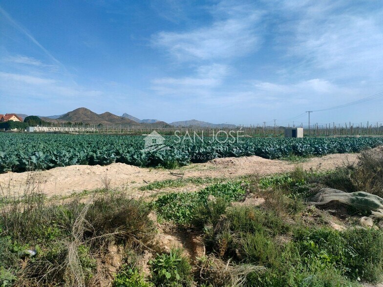 Terrain dans Monforte del Cid, Alicante à vendre - Photo principale – Image 1 sur 6