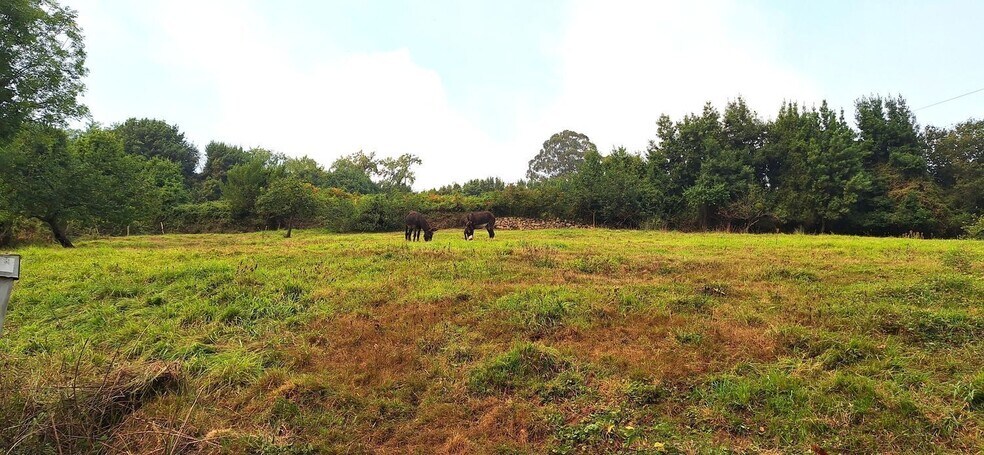 Camino del Molino, S/N, Gijón, Asturias à vendre - Photo de l’immeuble – Image 3 sur 34