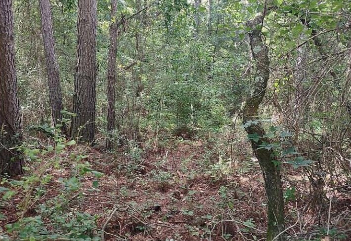 Barnesville Highway, The Rock, GA à vendre - Photo de l’immeuble – Image 1 sur 8