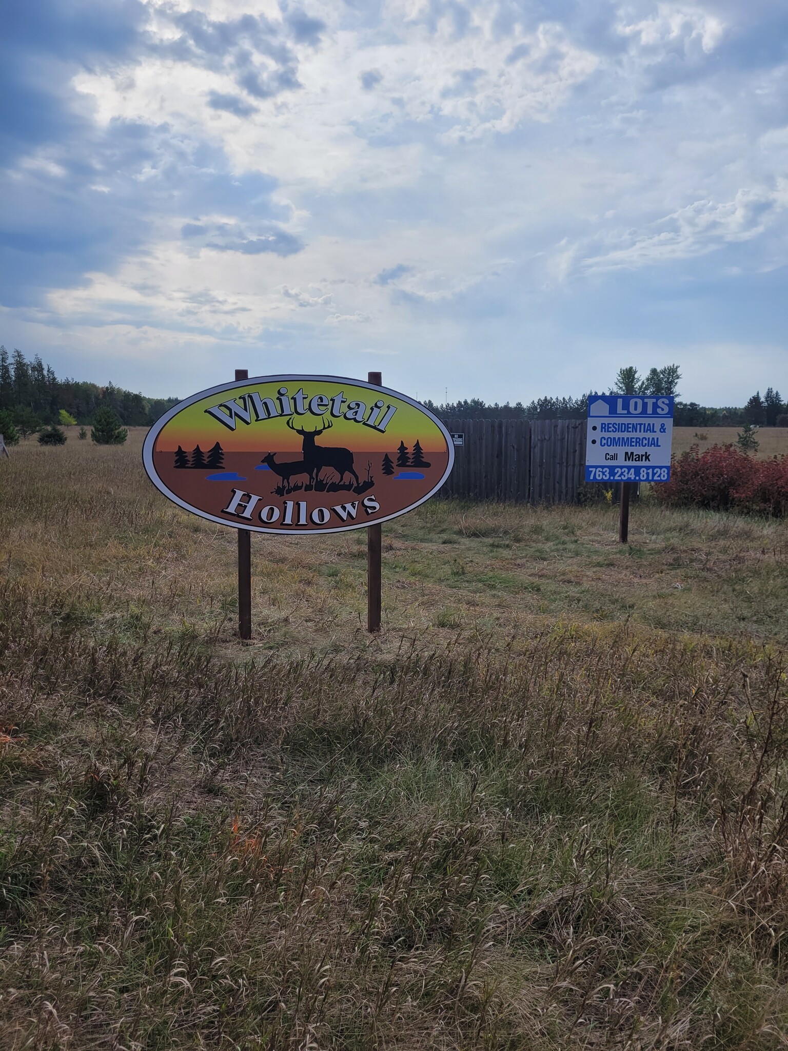 Old Highway 371, Jenkins, MN à vendre Photo principale– Image 1 sur 4