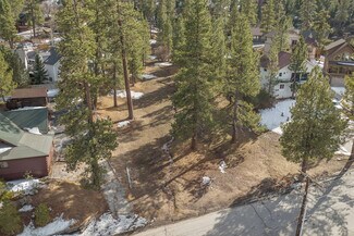 Plus de détails pour 725 Cameron Dr, Big Bear Lake, CA - Terrain à vendre